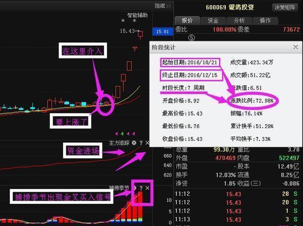 全面解读，002071最新公告详解