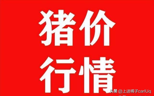 2024天天彩正版资料大全,决策资料解释落实_游戏版256.183