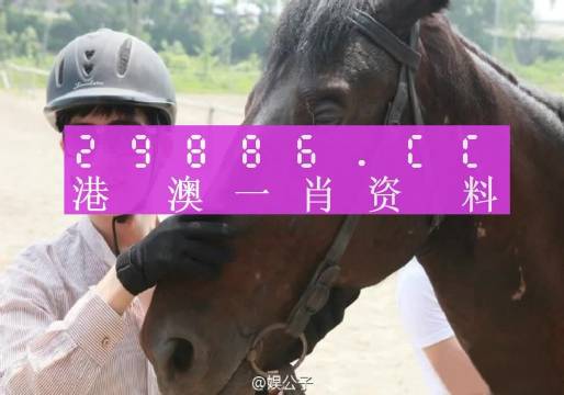 今晚澳门必中一肖一码适囗务目,全面解答解释落实_升级版6.33