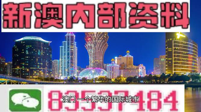 2024新澳正版免费资料,新兴技术推进策略_优选版2.332