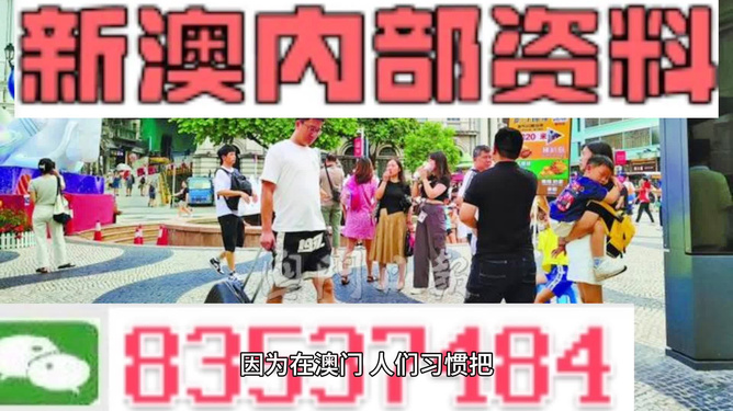 2024新澳门精准资料免费提供下载,决策资料解释落实_专家版1.936