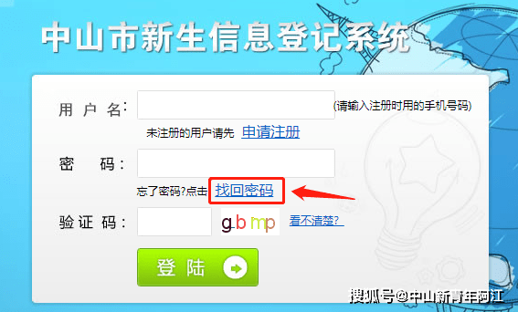 新澳天天免费资料单双,具体操作步骤指导_豪华版180.300