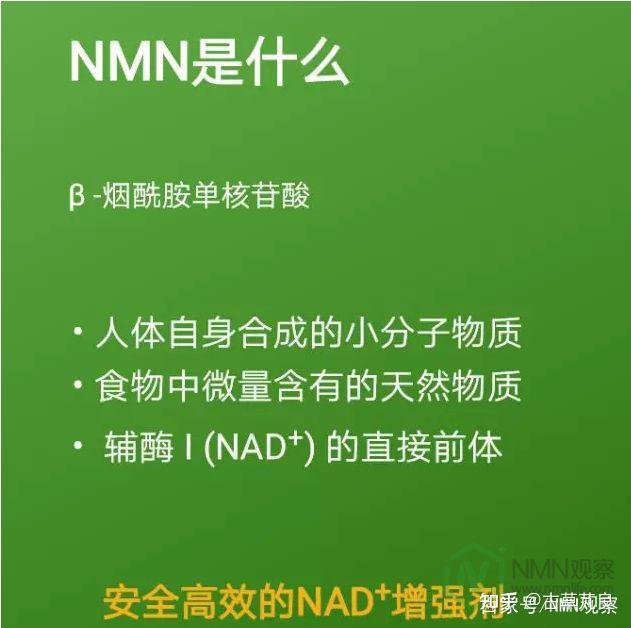 NMNN11最新科技探索的力量前沿