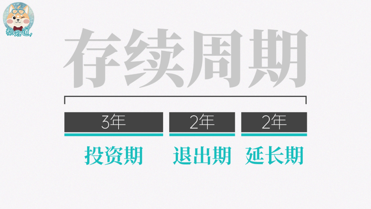 最新风投项目的崛起与面临的挑战