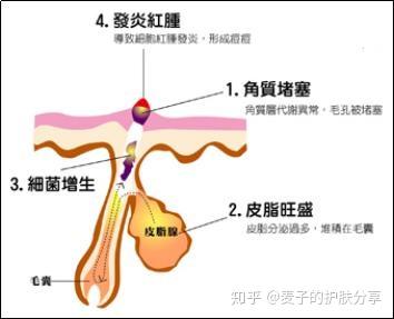 通草的功效与作用能通输卵管堵塞,资源整合策略实施_娱乐版305.210