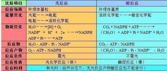 100%最准的一肖,效率资料解释落实_win305.210