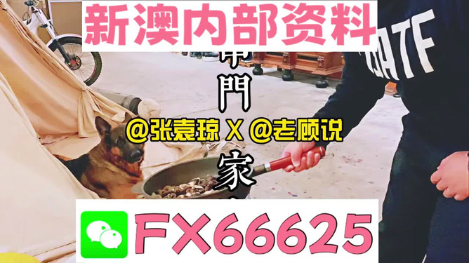 新澳门精准资料大全管家婆料,数据驱动执行方案_娱乐版305.210