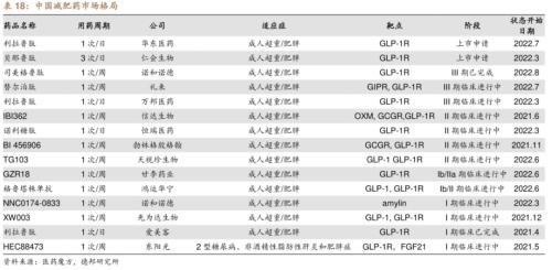 新澳门一码最精准的网站,涵盖了广泛的解释落实方法_入门版2.362