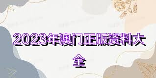 澳门资料大全正版资料2023年免费,决策资料解释落实_入门版2.928