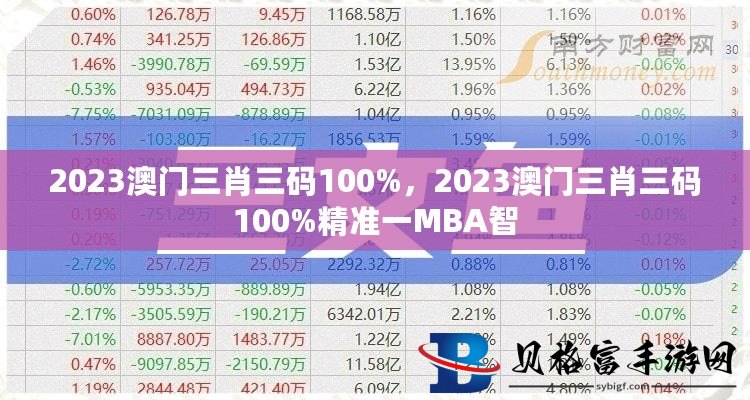 澳门三码三码精准100%,现状解答解释定义_挑战款11.665