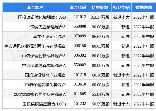 券商B最新净值深度解析与市场洞察报告