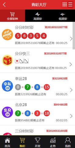 澳门今晚一肖一码100,全面数据执行方案_精英版89.387