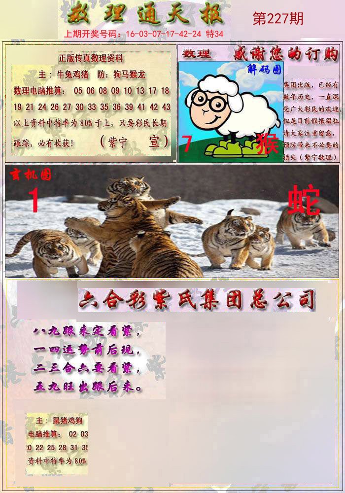 2024澳门正版猛虎报资料,创意分析解答解释_媒体集35.862