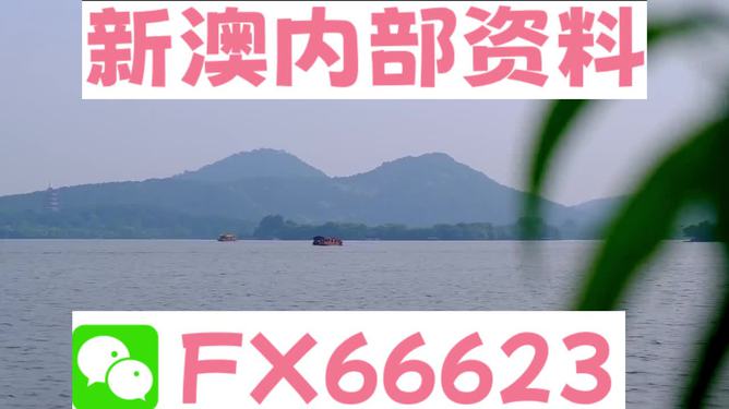 新澳2024年最新版资料,时代说明分析_绿色款75.978