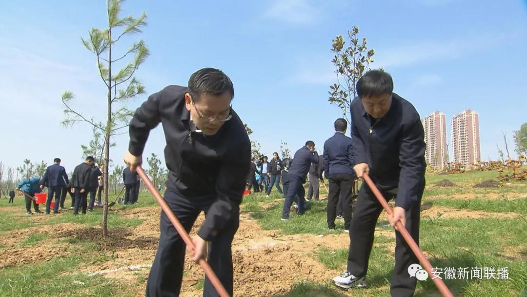 巢湖半岛生态宜居胜地蓬勃发展最新动态揭秘