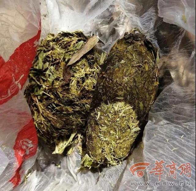 周至房价动态更新，市场趋势及影响因素深度解析