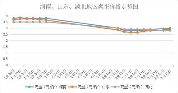 辽宁今日鸡蛋价格分析简报