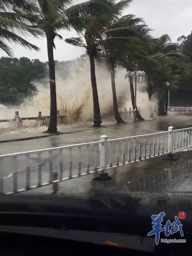 珠海台风最新消息视频，实时更新与深度解读