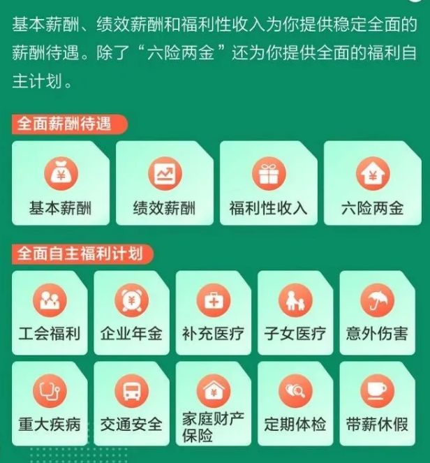 最新人寿保险政策解读与探讨