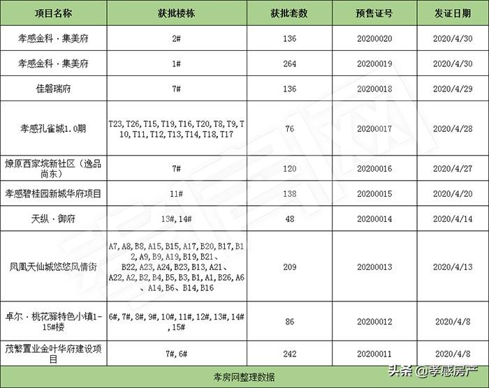 凤凰天仙城最新动态揭秘，揭开未来魅力面纱