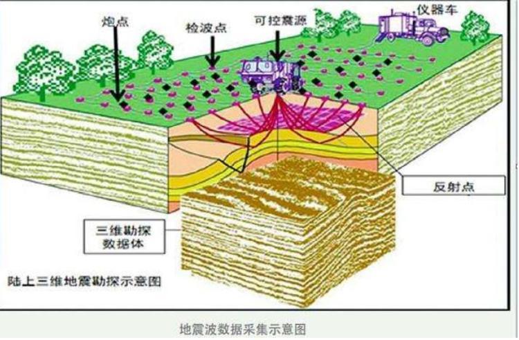 新野地震最新消息全面解析与深度探讨，最新动态及影响分析